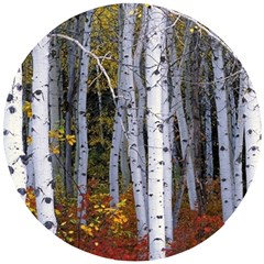 White Birch Trees Autumn Wooden Puzzle Round