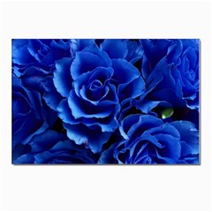 Roses Flowers Plant Romance Postcard 4 x 6  (pkg Of 10)