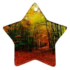 Forest Woods Autumn Nature Ornament (star)