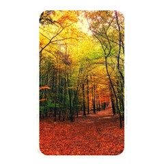 Forest Woods Autumn Nature Memory Card Reader (rectangular)