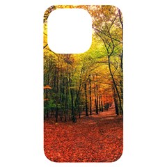 Forest Woods Autumn Nature Iphone 14 Pro Black Uv Print Case