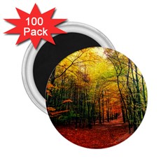 Forest Woods Autumn Nature 2 25  Magnets (100 Pack) 