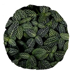 Leaves Foliage Botany Plant Large 18  Premium Flano Round Cushions