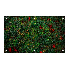 Grass Nature Meadow Banner And Sign 5  X 3 