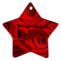 Red Roses , Flowers, Red Roses Ornament (star)