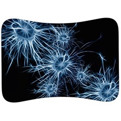 Neurons Brain Cells Structure Velour Seat Head Rest Cushion