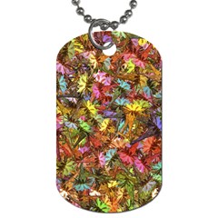 Echinopsis Terscheckii Cactus Motif Random Colored Pattern Dog Tag (two Sides)