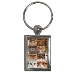 Breeds Of Cats Collage Key Chain (rectangle)