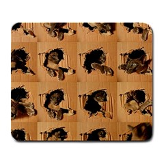 Carton, Brown Large Mousepad