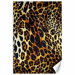 Leopard Skin Texture, Macro, Brown Canvas 24  X 36 