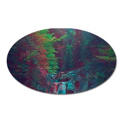 Foroest Nature Trippy Oval Magnet