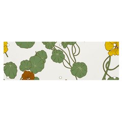 Nasturtium Flowers Plant Leaves Banner And Sign 6  X 2 