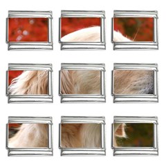 Dog-photo Cute 9mm Italian Charm (9 Pack)